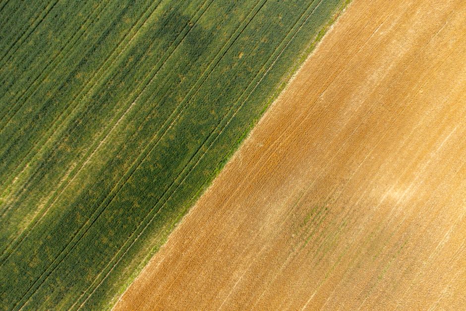 Rozłóg pól uprawnych z lotu ptaka - podział działki rolnej a wymóg rolnika indywidualnego - nagruncieprawnym.pl
